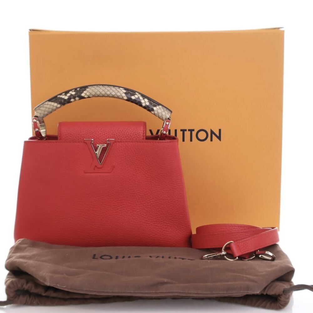 Louis Vuitton Python-Trimmed Taurillon Capucines … - image 16
